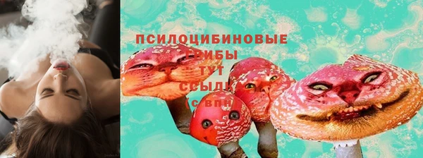 сатива Абаза